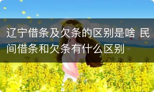 辽宁借条及欠条的区别是啥 民间借条和欠条有什么区别