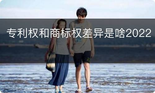 专利权和商标权差异是啥2022