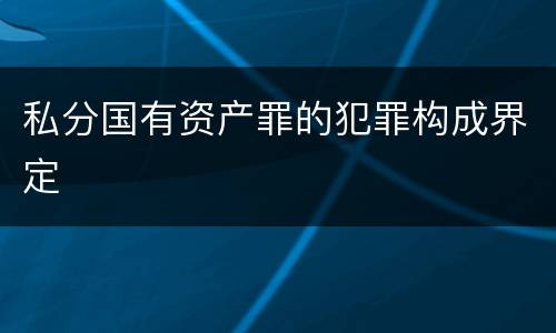 私分国有资产罪的犯罪构成界定