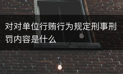 对对单位行贿行为规定刑事刑罚内容是什么