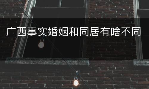 广西事实婚姻和同居有啥不同