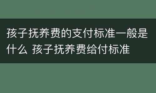 孩子抚养费的支付标准一般是什么 孩子抚养费给付标准