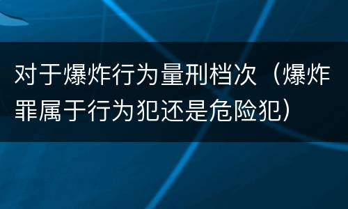 对于爆炸行为量刑档次（爆炸罪属于行为犯还是危险犯）
