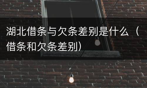 湖北借条与欠条差别是什么（借条和欠条差别）