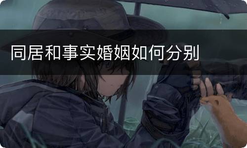 同居和事实婚姻如何分别