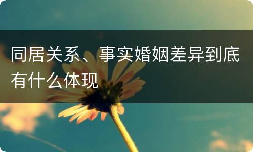 同居关系、事实婚姻差异到底有什么体现