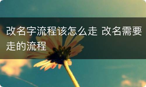 改名字流程该怎么走 改名需要走的流程