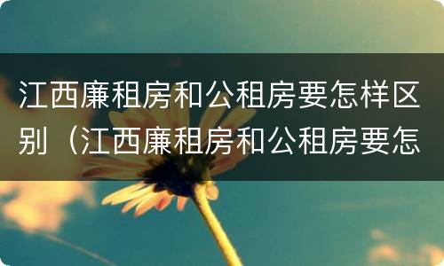 江西廉租房和公租房要怎样区别（江西廉租房和公租房要怎样区别呢）