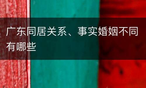 广东同居关系、事实婚姻不同有哪些