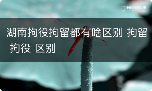 湖南拘役拘留都有啥区别 拘留 拘役 区别
