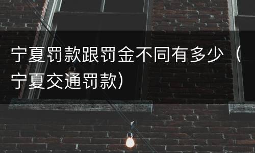 宁夏罚款跟罚金不同有多少（宁夏交通罚款）
