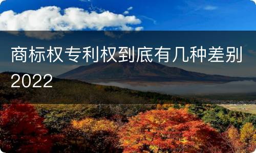 商标权专利权到底有几种差别2022