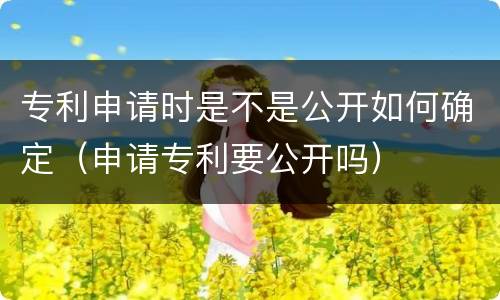 专利申请时是不是公开如何确定（申请专利要公开吗）