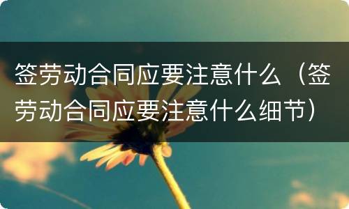 签劳动合同应要注意什么（签劳动合同应要注意什么细节）