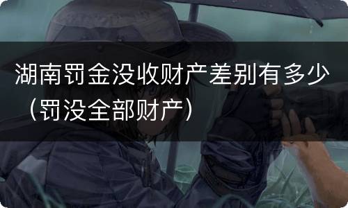 湖南罚金没收财产差别有多少（罚没全部财产）