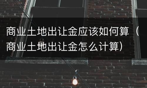 商业土地出让金应该如何算（商业土地出让金怎么计算）