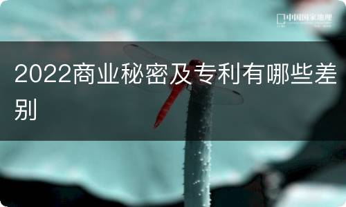 2022商业秘密及专利有哪些差别