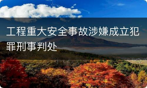 工程重大安全事故涉嫌成立犯罪刑事判处