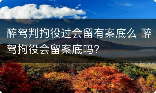 醉驾判拘役过会留有案底么 醉驾拘役会留案底吗?
