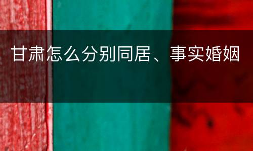甘肃怎么分别同居、事实婚姻