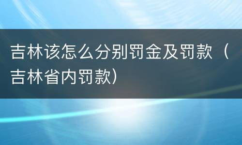 吉林该怎么分别罚金及罚款（吉林省内罚款）