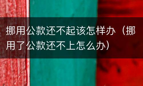 挪用公款还不起该怎样办(挪用了公款还不上怎么办)