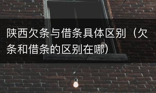 陕西欠条与借条具体区别（欠条和借条的区别在哪）