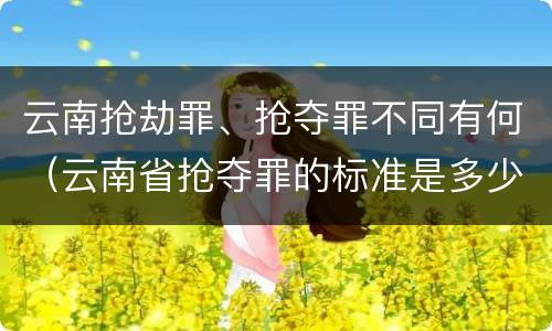 云南抢劫罪、抢夺罪不同有何（云南省抢夺罪的标准是多少?）