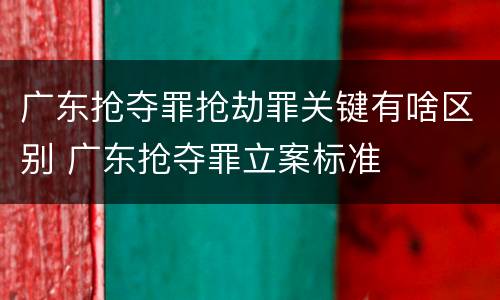 广东抢夺罪抢劫罪关键有啥区别 广东抢夺罪立案标准