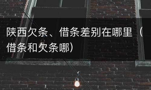陕西欠条、借条差别在哪里（借条和欠条哪）