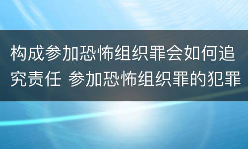 构成参加恐怖组织罪会如何追究责任 参加恐怖组织罪的犯罪对象
