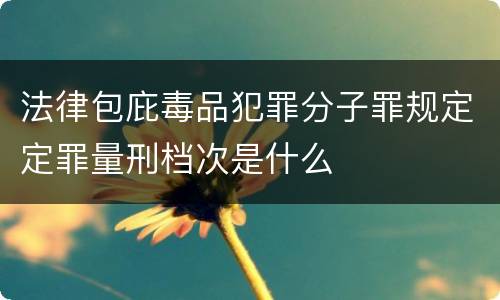 法律包庇毒品犯罪分子罪规定定罪量刑档次是什么