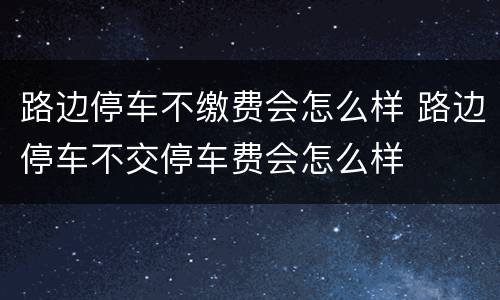 路边停车不缴费会怎么样 路边停车不交停车费会怎么样