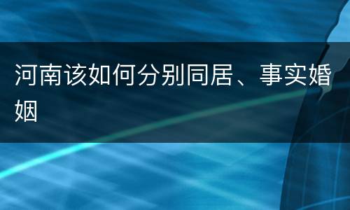 河南该如何分别同居、事实婚姻