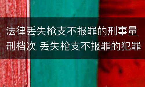 法律丢失枪支不报罪的刑事量刑档次 丢失枪支不报罪的犯罪主体只能是什么