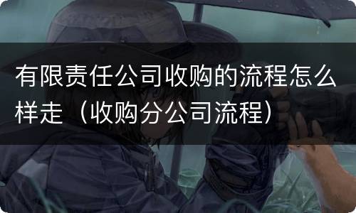 有限责任公司收购的流程怎么样走（收购分公司流程）
