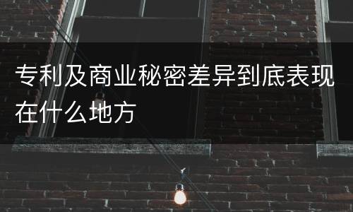 专利及商业秘密差异到底表现在什么地方