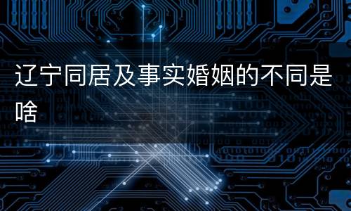 辽宁同居及事实婚姻的不同是啥