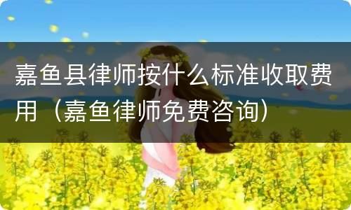 嘉鱼县律师按什么标准收取费用（嘉鱼律师免费咨询）