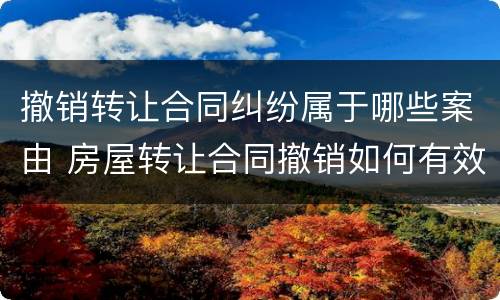 撤销转让合同纠纷属于哪些案由 房屋转让合同撤销如何有效