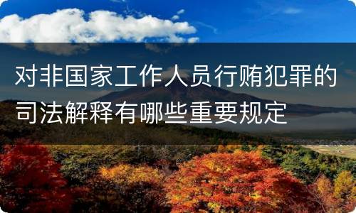 对非国家工作人员行贿犯罪的司法解释有哪些重要规定