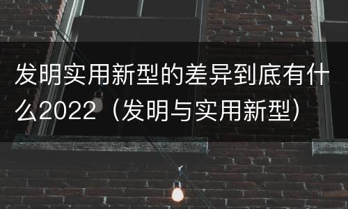 发明实用新型的差异到底有什么2022（发明与实用新型）