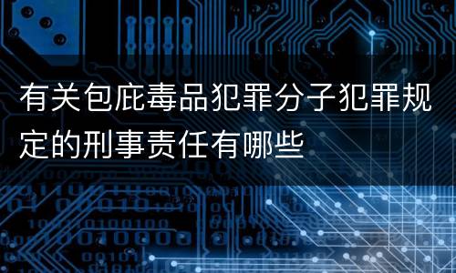 有关包庇毒品犯罪分子犯罪规定的刑事责任有哪些