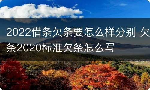2022借条欠条要怎么样分别 欠条2020标准欠条怎么写