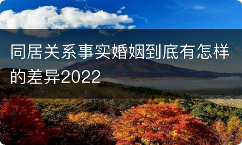 同居关系事实婚姻到底有怎样的差异2022