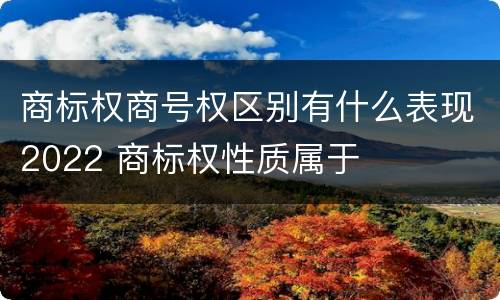商标权商号权区别有什么表现2022 商标权性质属于
