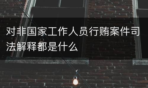 对非国家工作人员行贿案件司法解释都是什么