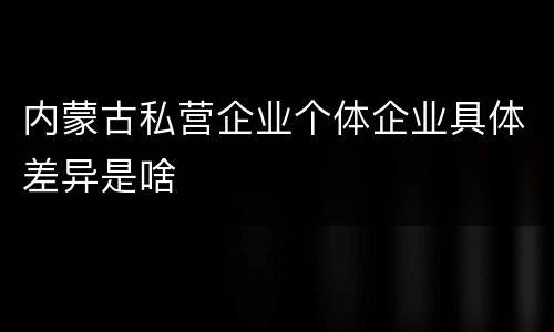 内蒙古私营企业个体企业具体差异是啥