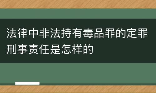 法律中非法持有毒品罪的定罪刑事责任是怎样的