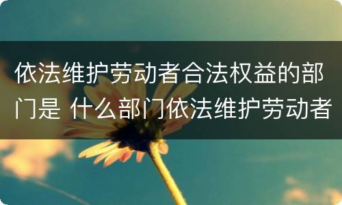 依法维护劳动者合法权益的部门是 什么部门依法维护劳动者的权益